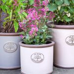 JC&CO Terracotta Rim