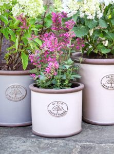 JC&CO Terracotta Rim