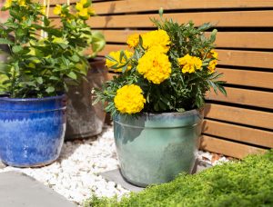 Mayfield Cylinder Green